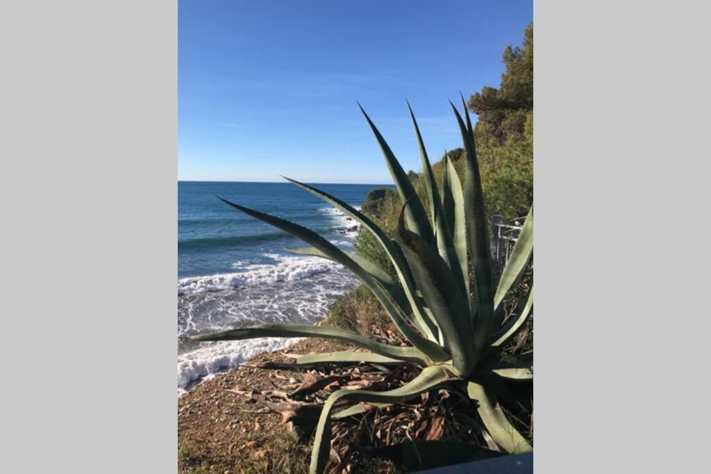 La Petite Pinede Studio Climatise Proche Plage ساناري سور مير المظهر الخارجي الصورة